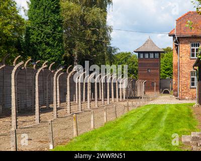 Zaun und Wachturm des Konzentrationslagers Auschwitz (Oswiecim) Stockfoto