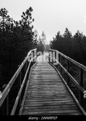 Holzweg in Torfmoor bei Bozi dar in nebligen Morgen, Erzgebirge, Tschechische Republik. Schwarzweiß-Bild. Stockfoto