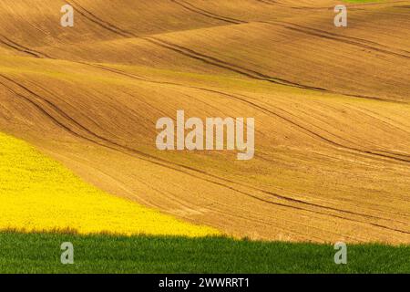 Gepflügtes Feld, bereit für das Aussäen und Pflanzen im Frühjahr Stockfoto