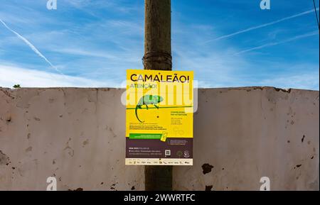 Ein Schild in Praia de Faro, Faro, Portugal, mit einem Chamäleon, einer bedrohten Art, Warnung vor den Folgen, wenn man einen gefangen nimmt. Stockfoto