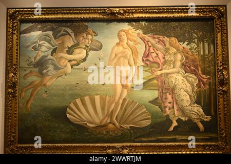 Die Geburt der Venus Uffizien Musei Firenze Firenze oder Florenz, Toskana Italien Stockfoto