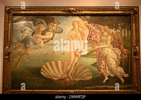 Die Geburt der Venus Uffizien Musei Firenze Firenze oder Florenz, Toskana Italien Stockfoto