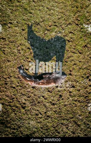 Ein schwarzes Pferd, das auf üppig grünem Gras steht Stockfoto