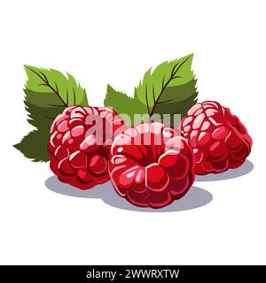 Handvoll rote saftige und gesunde Himbeeren mit grünem Blatt isoliert auf weißem Hintergrund. Vektor-Beeren-Illustration in flacher Form. Sommerclipart f Stock Vektor