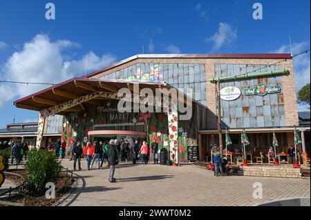 Döbeln - Karls Erlebnis-Dorf öffnet in Sachsen: Hunderte Besucher stürmen neuer Freizeitpark 23.03.2024 gegen 9 Uhr Döbeln, Erdbeerstraße Karls Erlebnis-Dorf am Samstagvormittag hat das erste Karls Erlebnis-Dorf in Sachsen offiziell eröffnet. In Beisein des sächsischen Ministerpräsidenten Michael Kretzschmer, Döbelner Oberbürgermeisters Sven Liebhauser und des mittelsächsischen Landrats Dirk Neubauer hat Karls-Geschäftsführer Robert Dahl das Band zur Eröffnung durchgeschnitten. Hunderte Besucher stürmten am ersten Öffnungstag den neuen Freizeitpark in Sachsen. Zentraler Teil des Erlebnis-Dorfs Stockfoto