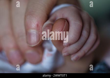 Nahaufnahme einer winzigen Hand eines Neugeborenen, die den Finger eines Erwachsenen greift und damit Fürsorge und elterliche Liebe symbolisiert. Stockfoto