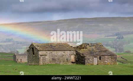 Alte Scheune in der Nähe von Hawes, Wensleydale, mit einem Regenbogen darüber. Die Scheunen sind Teil des Erbes der Dales, aber viele fallen jetzt als Th herunter Stockfoto