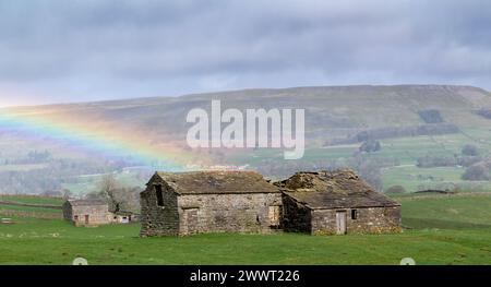 Alte Scheune in der Nähe von Hawes, Wensleydale, mit einem Regenbogen darüber. Die Scheunen sind Teil des Erbes der Dales, aber viele fallen jetzt als Th herunter Stockfoto