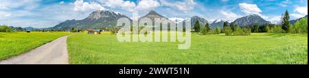 Grüne Frühlingswiesen mit Hütten und schneebedeckten Alpen im Hintergrund - Region Obersdorf - Panorama Wanderweg bei Oberstdorf mit den Alpen im Hintergrund. Landschafts - Panorama. Ideal für touristische und landwirtschaftliche Werbung und Imagekampagnen. Obersdorf Bayern Deutschland *** Grüne Frühlingswiesen mit Hütten und schneebedeckten Alpen im Hintergrund Obersdorf Region Panoramawanderweg bei Oberstdorf mit den Alpen im Hintergrund Landschaft Panorama ideal für touristische und landwirtschaftliche Werbe- und Imagekampagnen Obersdorf Bayern Deutschland Stockfoto