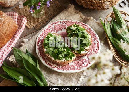 Frischer wilder Knoblauch oder Ramson-Blätter auf zwei Scheiben Sauerteigbrot mit Butter auf einem Tisch Stockfoto