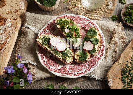 Frühlingswildpflanzen - Zwiebelgras, Knoblauchsenf und gemahlener Holunder, auf drei Scheiben Sauerteigbrot Stockfoto