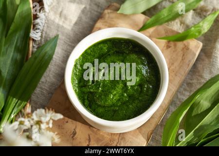 Hausgemachte grüne Pesto-Sauce aus frischen wilden Knoblauchblättern - wilde essbare Pflanze, die im frühen Frühjahr im Wald gesammelt wird Stockfoto