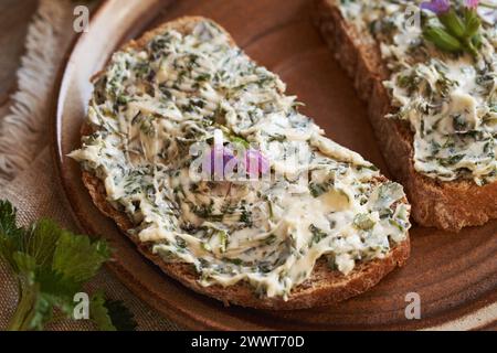 Brennnesselbutter – hausgemachter Brotaufstrich aus essbaren Wildpflanzen, die im Frühjahr geerntet werden, mit frischen Lungenkrautblüten Stockfoto