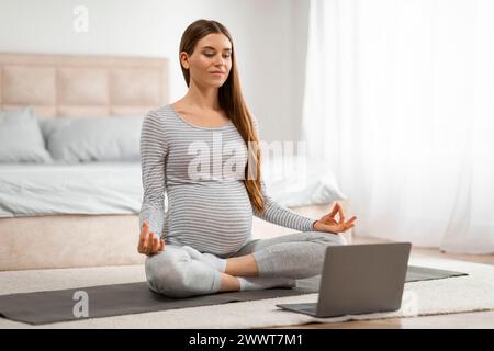 Schwangere Frau mit Laptop für pränatalen Unterricht Stockfoto