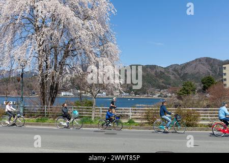 Lake Kawaguchiko in Fujikawaguchiko Japan, Mutter und Vater Radfahren um den See in der Region Fuji fünf Seen, Japan, Asien, 2023 Stockfoto