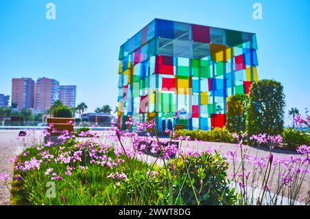 MALAGA, SPANIEN - 28. SEPTEMBER 2019: Das wunderschöne Blumenbeet vor dem würfelförmigen Centre Pompidou Malaga Museum, Malaga, Spanien Stockfoto