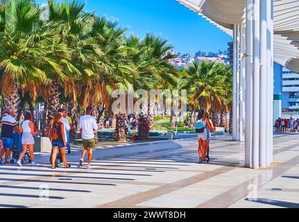 MALAGA, SPANIEN - 28. SEPTEMBER 2019: Palmenhain der Überraschungen Promenade mit üppigen schattigen Palmen, Malaga, Spanien Stockfoto
