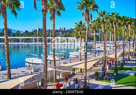 MALAGA, SPANIEN - 28. SEPTEMBER 2019: Die hohen Palmen schmücken die Strandpromenade im Hafen von Malaga, am 28. September in Malaga Stockfoto