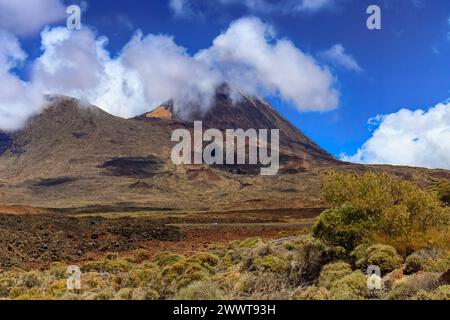 Der Vulkanberg Teide erhebt sich über den Wolken im Teide-Nationalpark, der zum UNESCO-Weltkulturerbe gehört. Kanarische Inseln, Spanien. Stockfoto