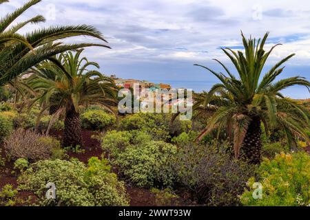 Üppige grüne Landschaft auf Teneriffa, Spanien Stockfoto