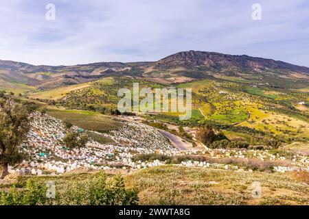 Fès, Marokko - 17. März 2024: Grüner Hügel und muslimische Gräber aus Borj Nord, der antiken Stadt Fès, der ältesten Hauptstadt Marokkos Stockfoto