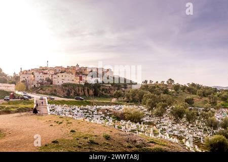 Fès, Marokko - 17. März 2024: Grüner Hügel und muslimische Gräber aus Borj Nord, der antiken Stadt Fès, der ältesten Hauptstadt Marokkos Stockfoto