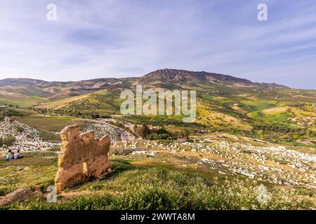 Fès, Marokko - 17. März 2024: Grüner Hügel und muslimische Gräber aus Borj Nord, der antiken Stadt Fès, der ältesten Hauptstadt Marokkos Stockfoto