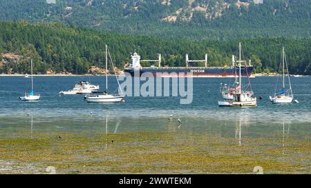 Ein wunderschöner Blick auf Segel- und Motorboote in der Nähe von Cowichan Bay in Kanada Stockfoto