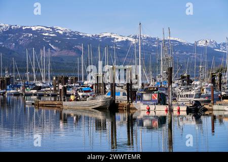 Ein wunderschöner Blick auf Boote, die an der Deep Bay Marina mit hellen Reflexen im Meereswasser vertäut sind Stockfoto
