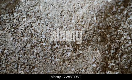 Eine Nahaufnahme eines Stapels Holzsägemehl-Späne Stockfoto