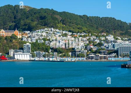 Farbenfrohe Häuser auf dem Hügel des Mount Victoria über dem Hafen in Wellington, Neuseeland. Stockfoto