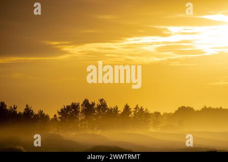 Diese atemberaubenden Rapsfelder von Alberta während eines Sonnenuntergangs Stockfoto