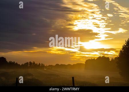 Diese atemberaubenden Rapsfelder von Alberta während eines Sonnenuntergangs Stockfoto