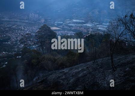 Medellin, Kolumbien. März 2024. Feuerwehrleute und Mitglieder der Gemeinde helfen am 25. März 2024, einen Waldbrand in Copacabana, nördlich von Medellin, Kolumbien, zu löschen. in der Nähe des Schutzgebietes „La Cruz“. Foto: Juan J. Eraso/Long Visual Press Credit: Long Visual Press/Alamy Live News Stockfoto