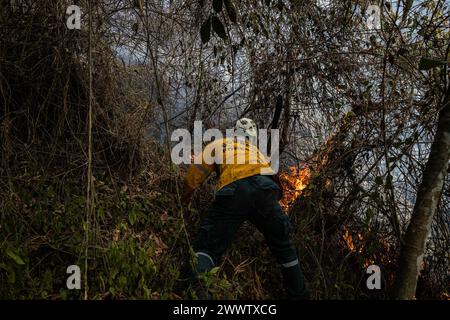 Medellin, Kolumbien. März 2024. Feuerwehrleute und Mitglieder der Gemeinde helfen am 25. März 2024, einen Waldbrand in Copacabana, nördlich von Medellin, Kolumbien, zu löschen. in der Nähe des Schutzgebietes „La Cruz“. Foto: Juan J. Eraso/Long Visual Press Credit: Long Visual Press/Alamy Live News Stockfoto