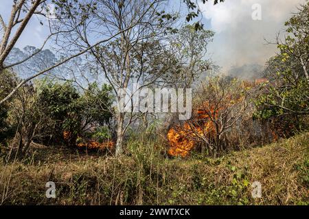 Medellin, Kolumbien. März 2024. Feuerwehrleute und Mitglieder der Gemeinde helfen am 25. März 2024, einen Waldbrand in Copacabana, nördlich von Medellin, Kolumbien, zu löschen. in der Nähe des Schutzgebietes „La Cruz“. Foto: Juan J. Eraso/Long Visual Press Credit: Long Visual Press/Alamy Live News Stockfoto