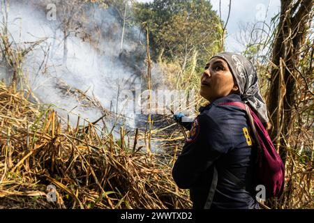 Medellin, Kolumbien. März 2024. Feuerwehrleute und Mitglieder der Gemeinde helfen am 25. März 2024, einen Waldbrand in Copacabana, nördlich von Medellin, Kolumbien, zu löschen. in der Nähe des Schutzgebietes „La Cruz“. Foto: Juan J. Eraso/Long Visual Press Credit: Long Visual Press/Alamy Live News Stockfoto