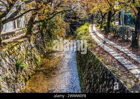 Coloful Fall verlässt Green Philosopher's Walk Canal Kyoto Japan. Gehen Sie vorbei an berühmten Tempeln. Gegründet 1890, weil japanische Philosphen früher W Stockfoto