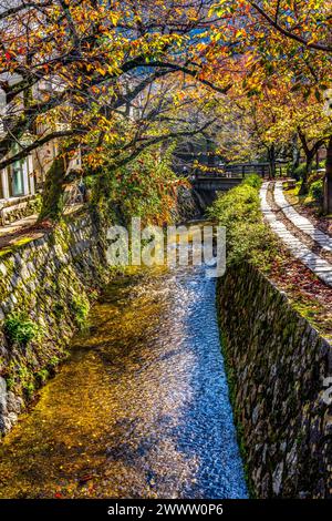 Coloful Fall verlässt Green Philosopher's Walk Canal Kyoto Japan. Gehen Sie vorbei an berühmten Tempeln. Gegründet 1890, weil japanische Philosphen früher W Stockfoto