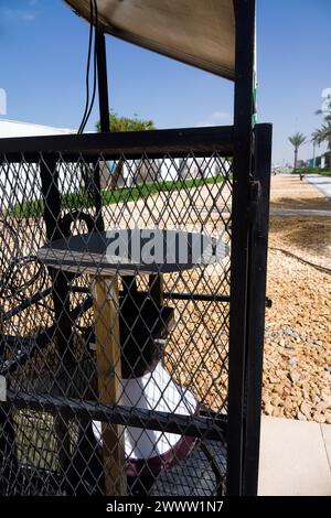 Gerät Mückenmückenmückenmückenmückenm Stockfoto