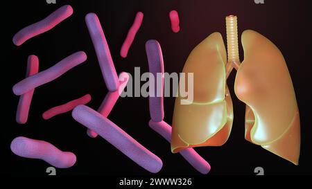 3D-Darstellung von Mycobacterium tuberculosis, Bakterien, die Tuberkulose (TB) und menschliche Lungen verursachen Stockfoto