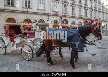 WIEN, ÖSTERREICH - 26. APRIL 2023: Touristenwagen am Stephansplatz, neben dem Stephansdom, wartet auf Touristen. Typische Attraktion für Wien. Stockfoto