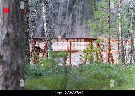 Die Holzbrücke in Feuchtlandschaften. Tareste Sumpfland mit Wanderplattform. Marsh Beobachtungsplattform. Stockfoto