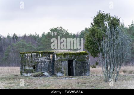 Militärisches Erbe aus dem Zweiten Weltkrieg Bunker aus dem Zweiten Weltkrieg in der Strandlandschaft. Ein alter Betonbunker aus dem Zweiten Weltkrieg und wacholder. Stockfoto