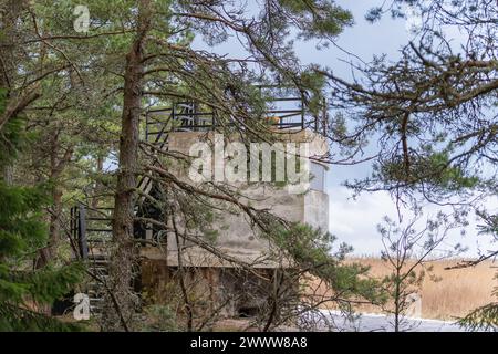 Vogelbeobachtungsplattform an der Stelle, an der der Wald auf das Meer trifft. Vogelbeobachtungsplattform an der Ostseeküste. Stockfoto