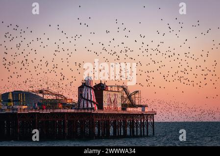 Starling Murmeln bei Sonnenuntergang über dem Palace Pier an der Brighton Küste im Osten Sussex Südosten Englands Großbritannien Stockfoto