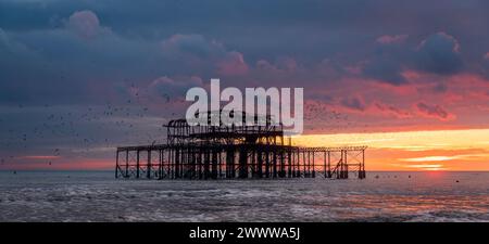 Sonnenuntergang hinter den Ruinen des West Pier an der Brighton Küste östlich von Sussex Südosten Englands Großbritannien Stockfoto