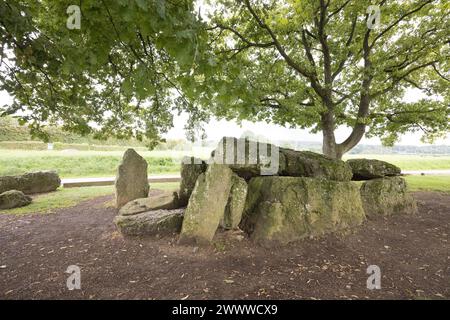 Megalith, der nördliche Dolmen, Weris, Belgien Stockfoto