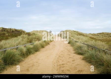 Pfad zum Strand durch Sanddünen und Gras an der Küste im Winter in Horsey Gap, Norfolk, Großbritannien Stockfoto