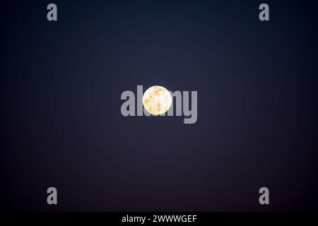 Vollmond mit Kopierraum. Stockfoto